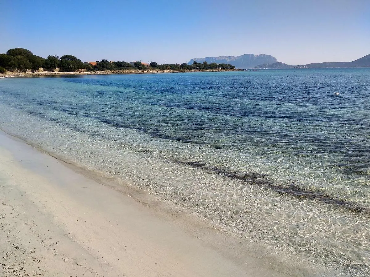 The Beach House Apartment Olbia Italy